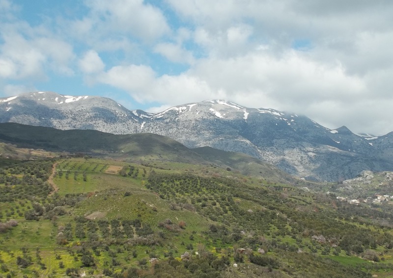 Orchidee di Creta: tra mitologia, montagne e natura, marzo 2015
